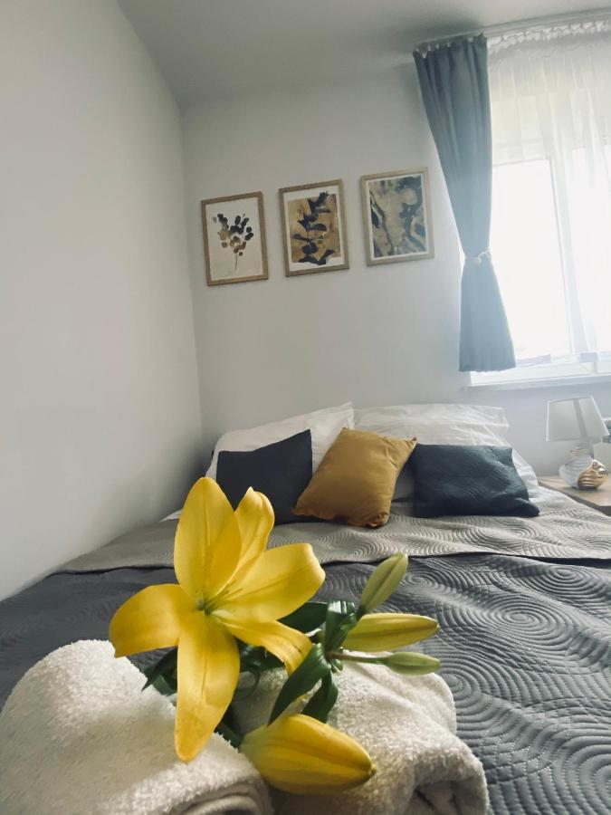 Apartamenty Majka Zator Kültér fotó